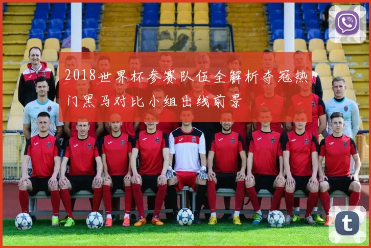 2018世界杯参赛队伍全解析夺冠热门黑马对比小组出线前景