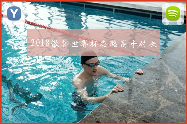 2018散打世界杯各路高手对决