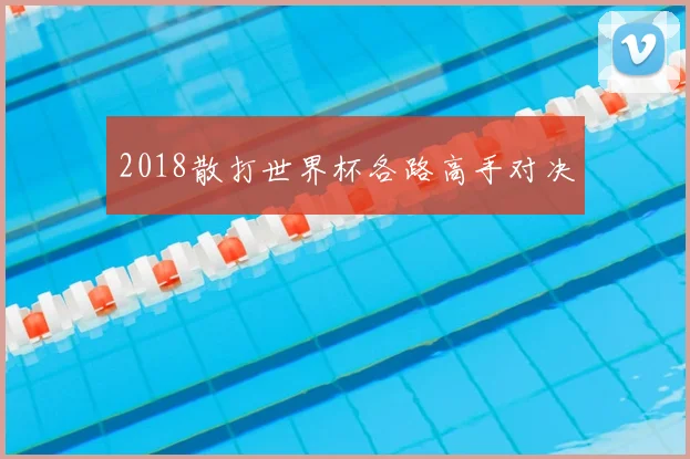 2018散打世界杯各路高手对决