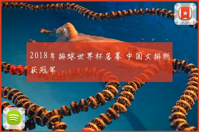 2018年排球世界杯落幕 中国女排斩获冠军
