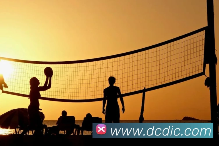 App Interface Preview